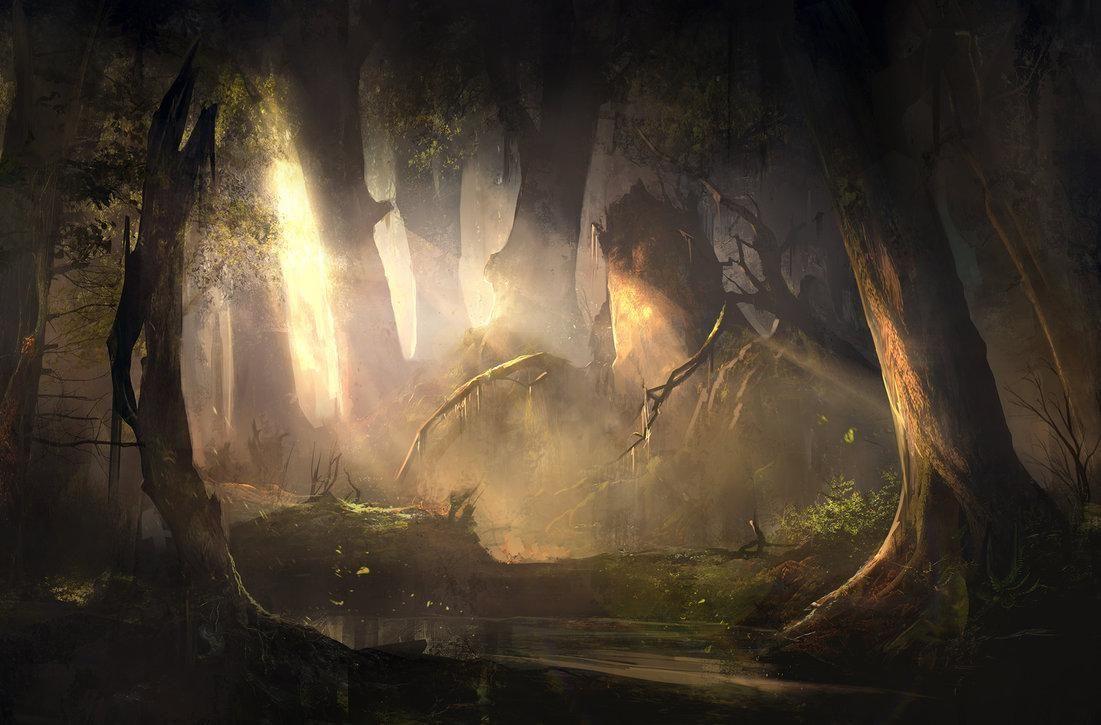 1101x725 Mysterious forest, fascinating wallpaper, definition big