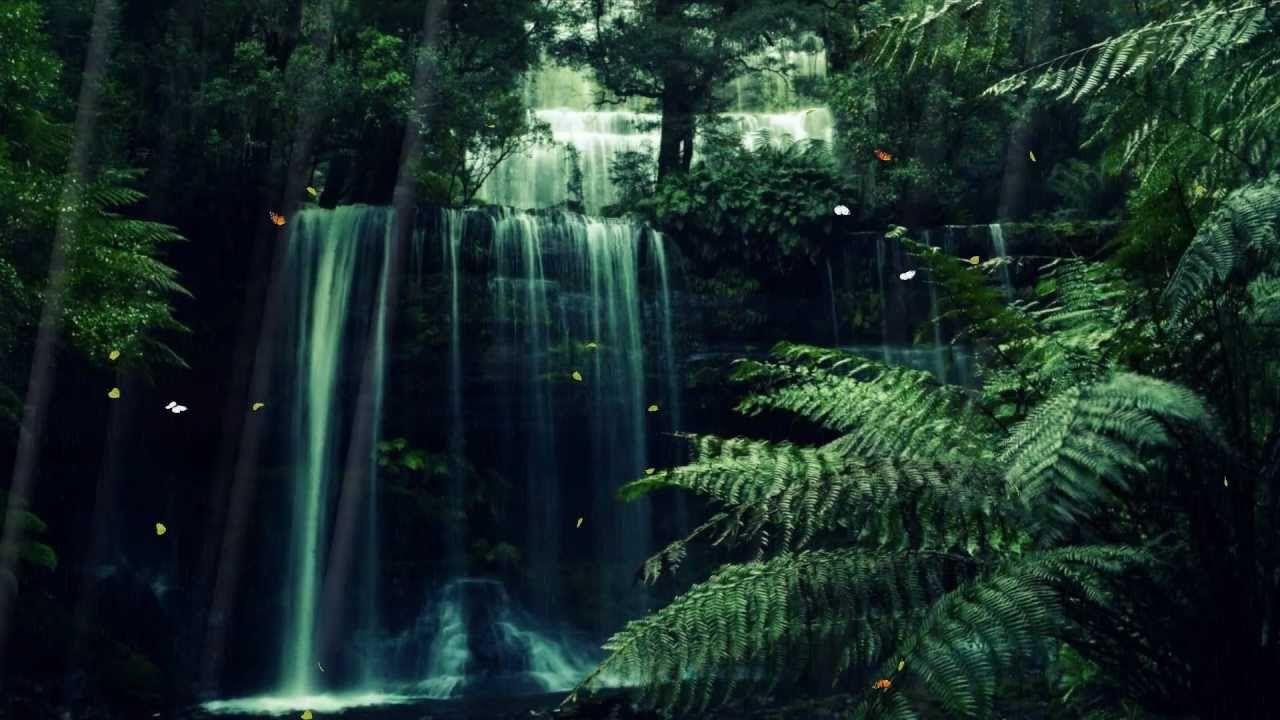 1280x720 Mystical Forest Background