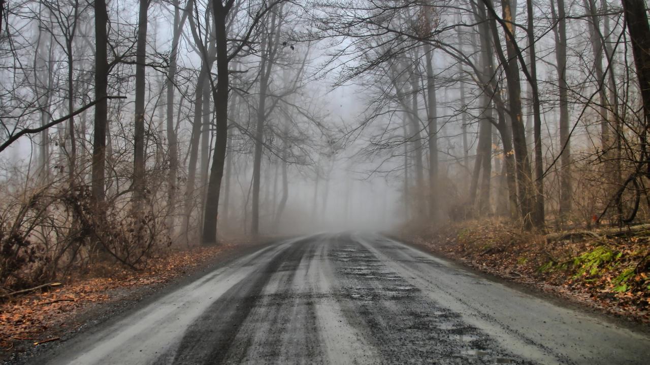 1280x720 Autumn foggy mysterious forest road