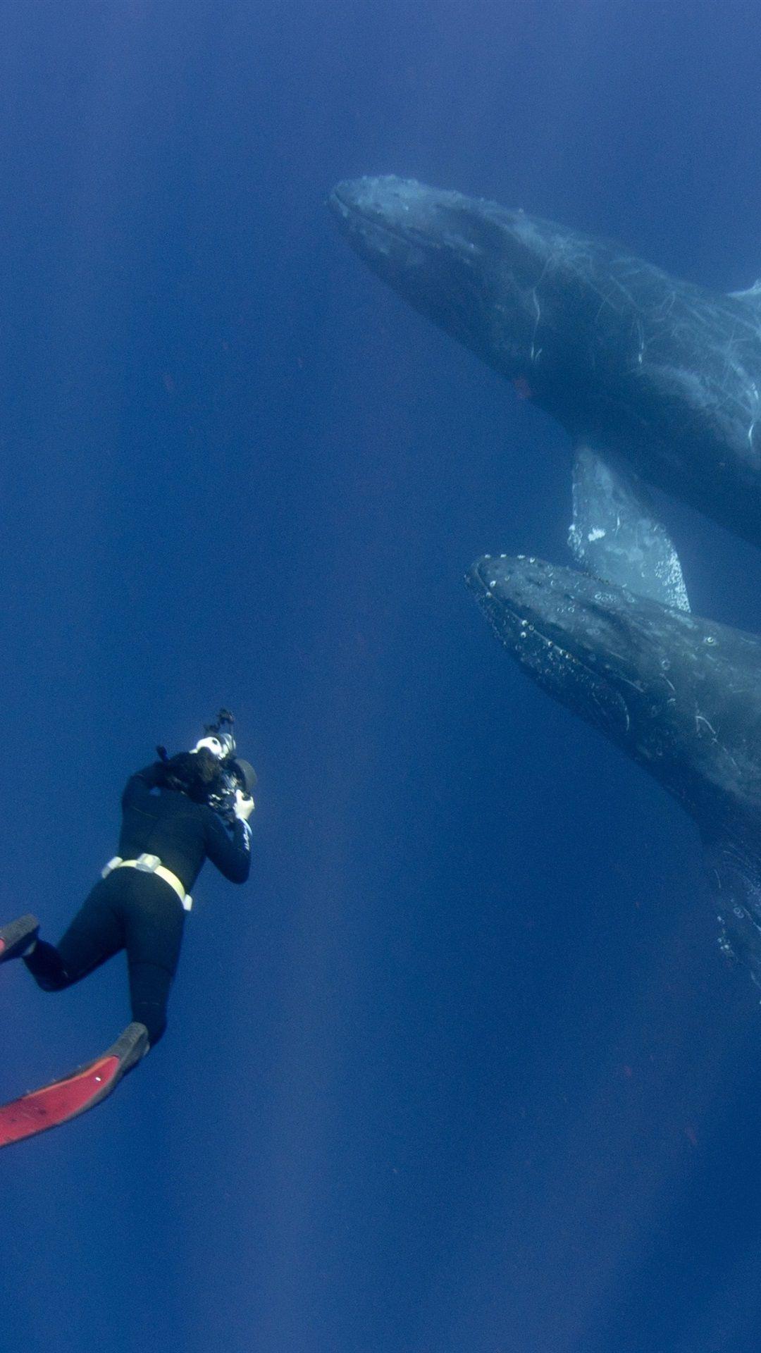 1080x1920 Diver And Whales, Underwater 1080x1920 IPhone 8 7 6 6S Plus Wallpaper, Background, Picture, Image