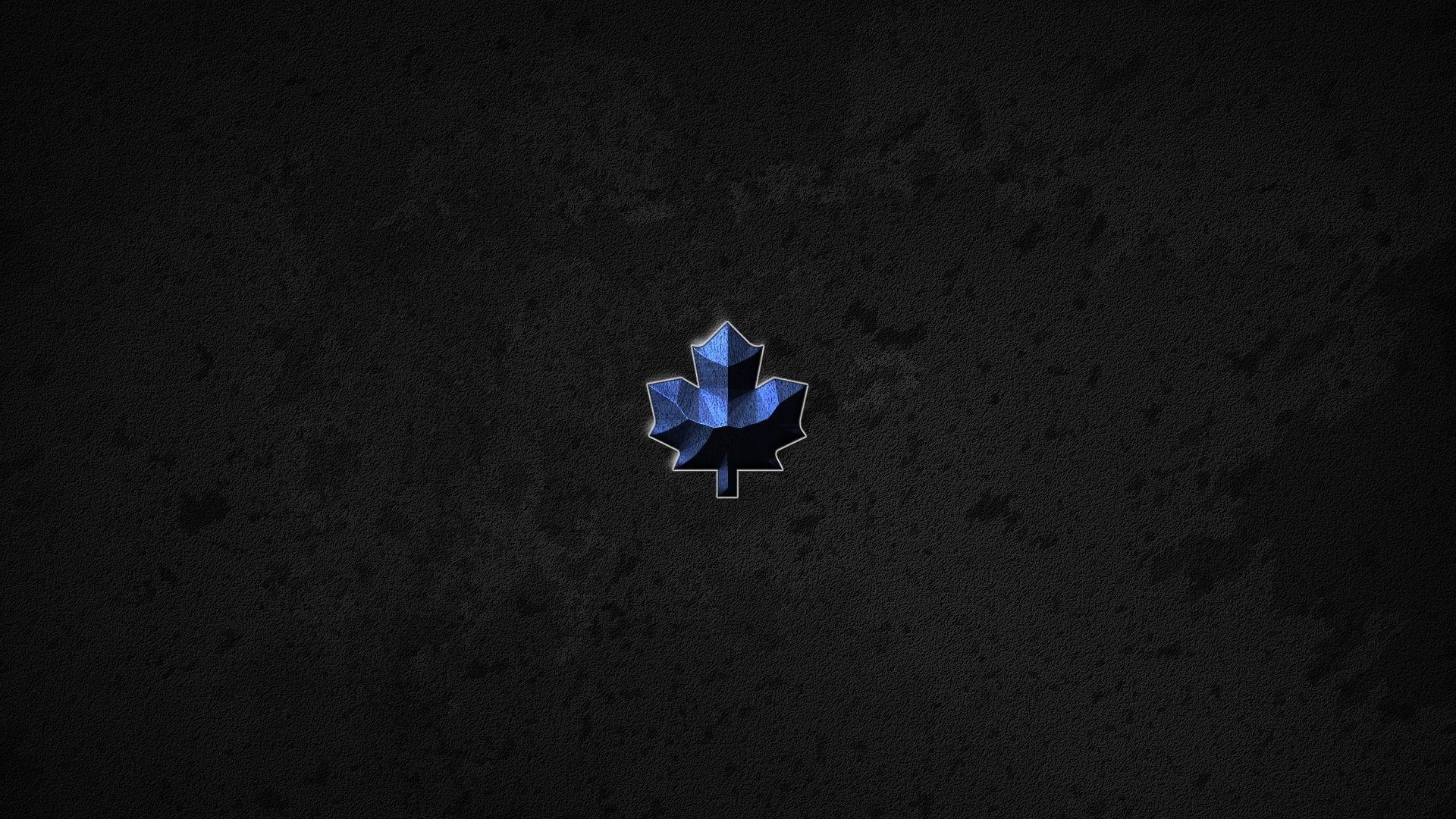 1920x1080 Desktop wallpaper leaf, minimal, sports, logo, nhl, HD image, picture, background, e91dee