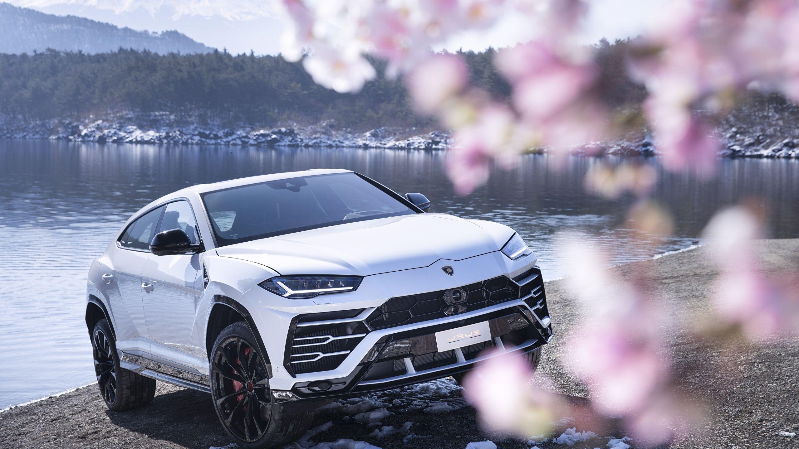 2560x1440 Image Lamborghini Urus 2018 White Cars 2560x1440
