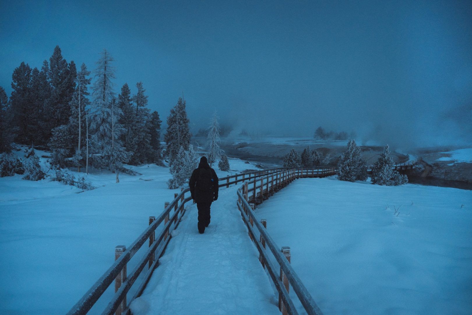 1620x1080 Max Lowe Joins Yellowstone National Geographic Expeditions