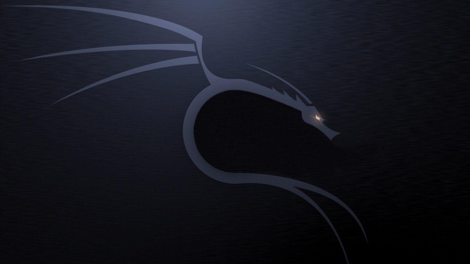 1600x900 Linux, Kali Linux NetHunter, Kali Linux Wallpaper HD / Desktop and Mobile Background