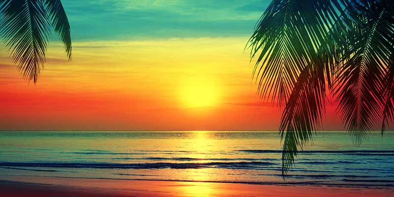 800x400 Kavya, Amber Sky Sunset Poetry Wallpaper Mural®