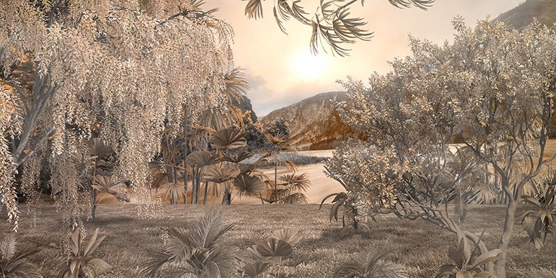 800x400 Nisarg, Jungle Scenery Landscape Wallpaper Mural®