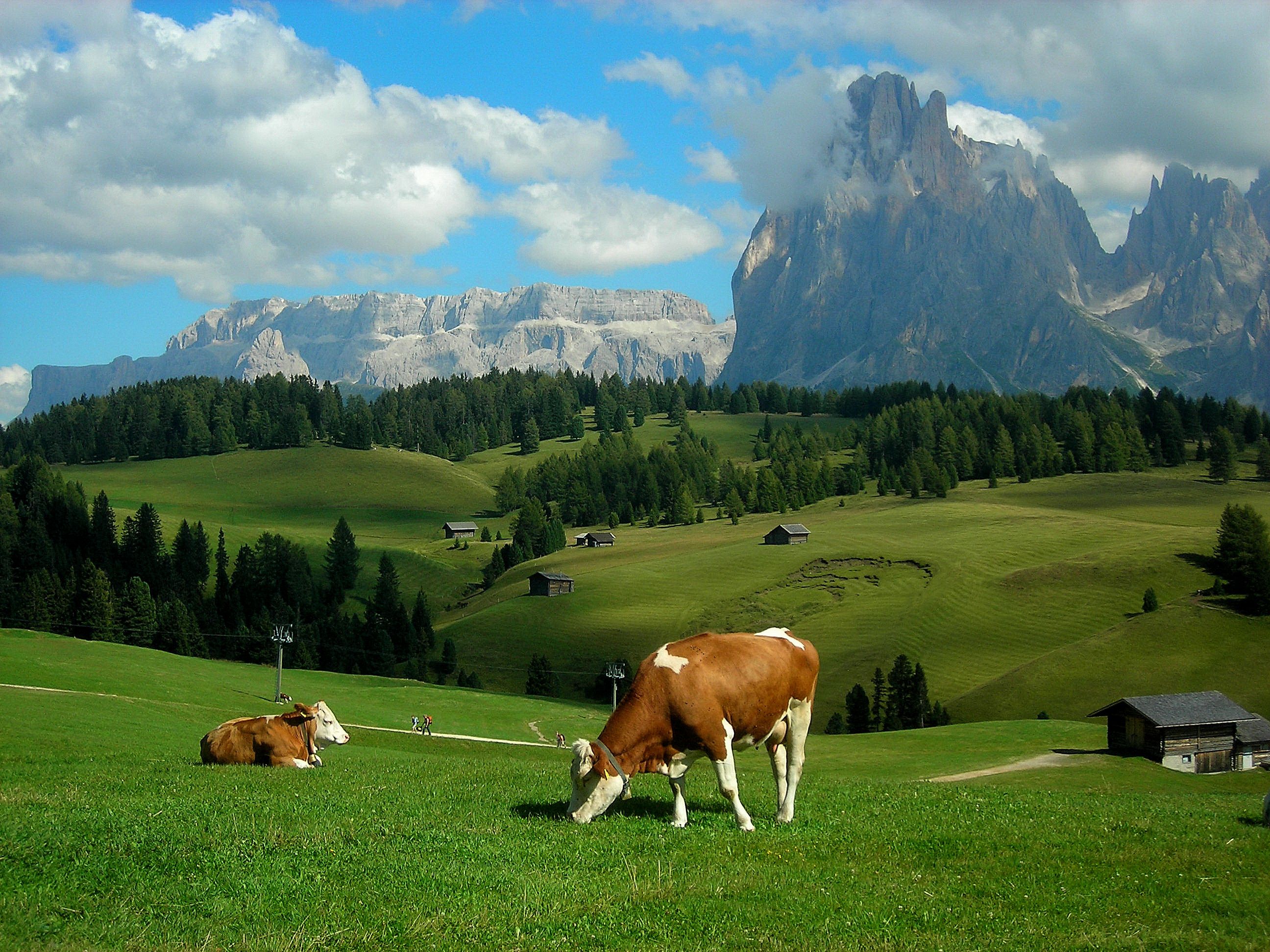 2592x1944 alps, Meadows, Hills, Mountains, Cows, Landscape, Rustic, Farm Wallpaper HD / Desktop and Mobile Background