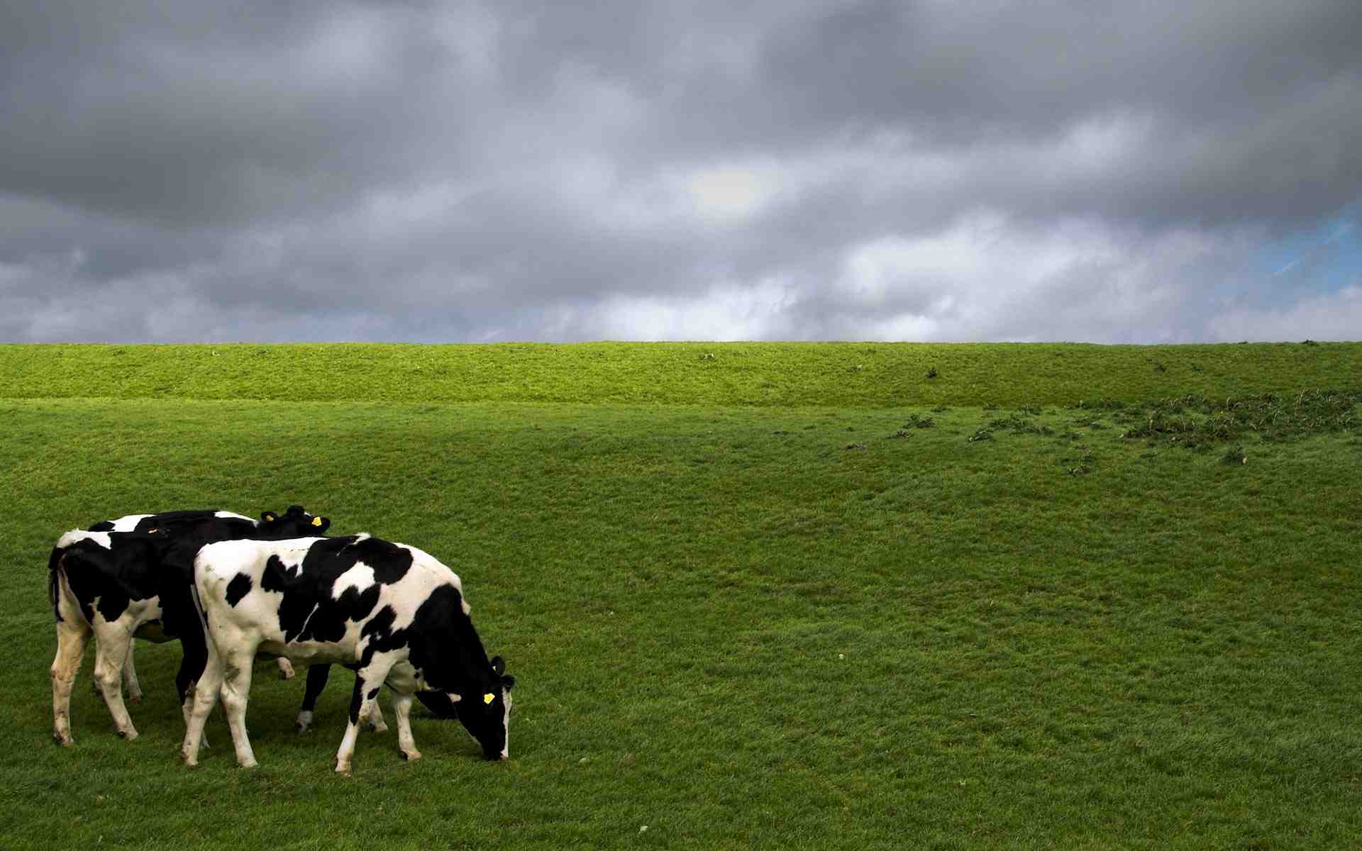 1920x1200 