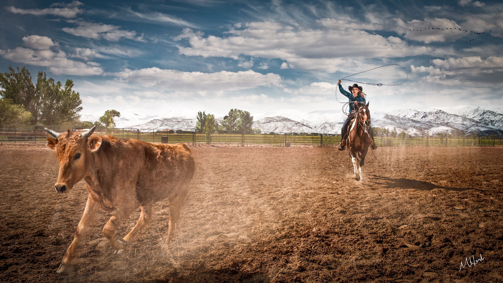 2048x1152 Wallpaper farm, horse, Cowgirl, ropping cattle, Rodeo for mobile and desktop, section ситуации, resolution 2048x1152