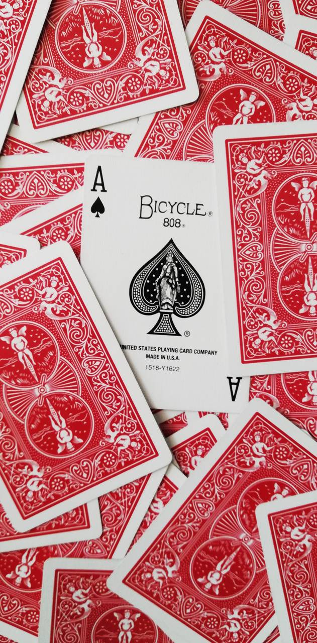 631x1280 Ace Bicycle wallpaper