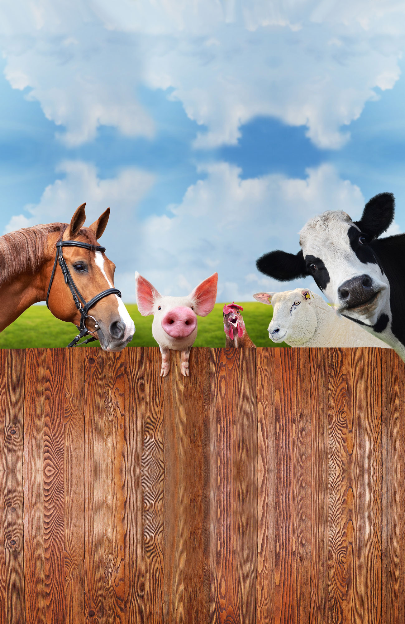 1300x2000 Seldom Rest Boer Goat Farm