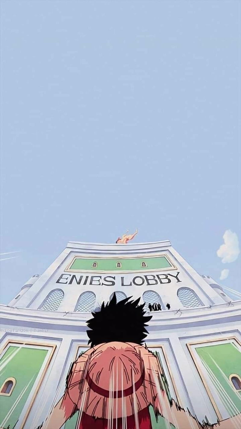 800x1422 One Piece Luffy, anime, monkey d luffy, mugiwara, nico robin, one piece, HD phone wallpaper