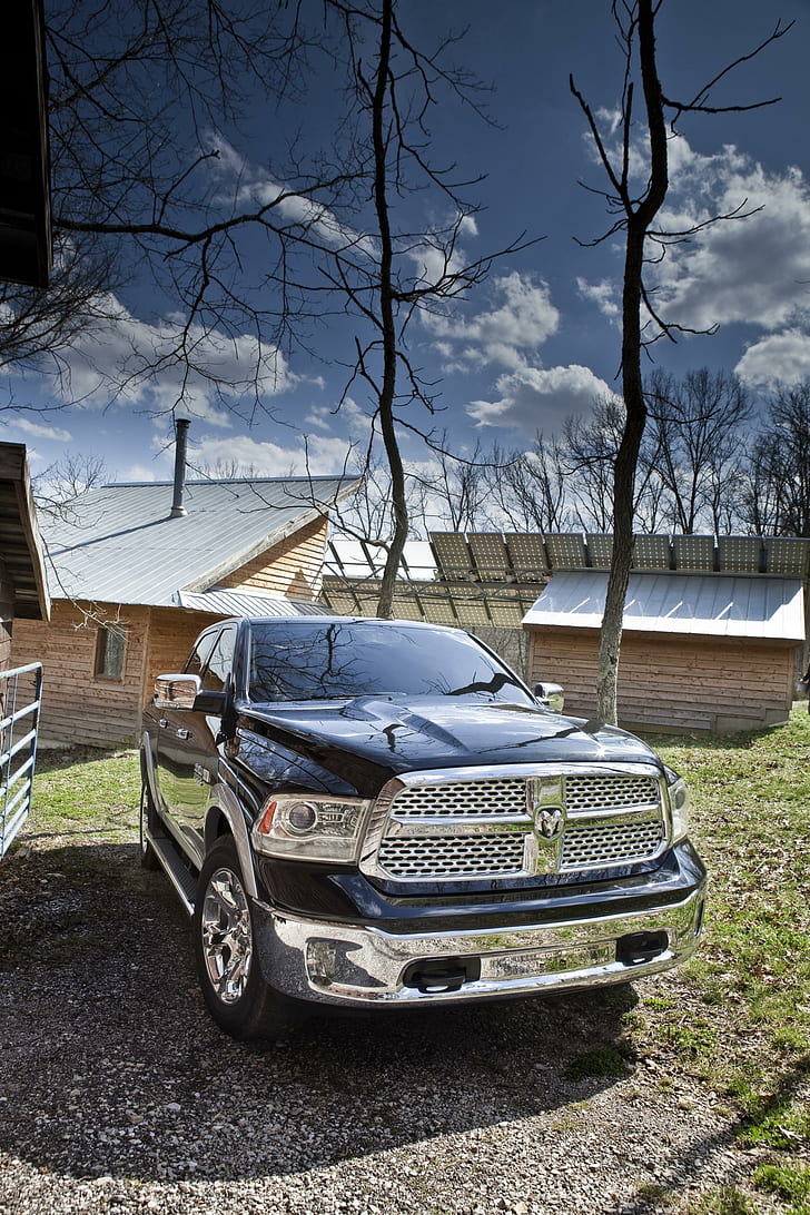 728x1092 HD wallpaper: Ram Mossy Oak Edition, 2013 dodge ram car