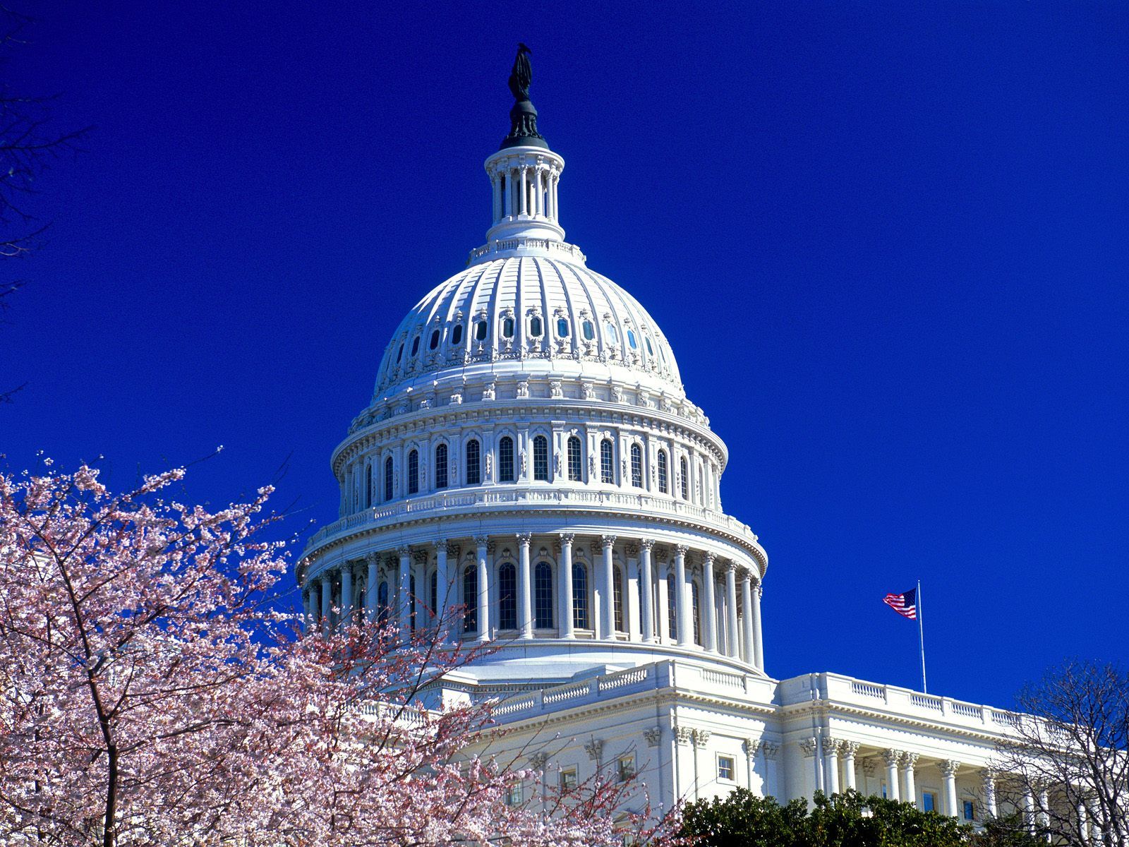 1600x1200 U.S. Capitol