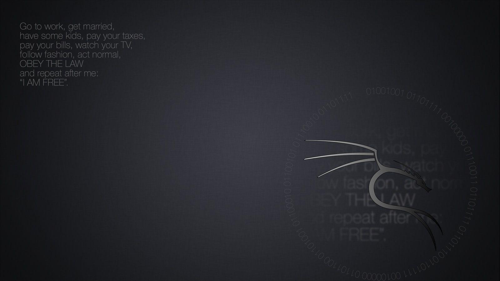 1600x900 Kali Linux Wallpaper HD (1600x900)