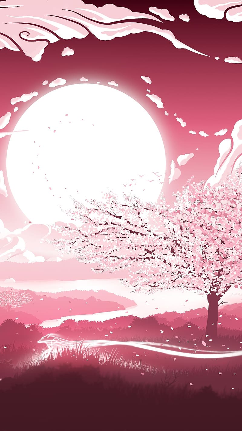 800x1422 Sakura Tree, Art Work, cherry blossom, moon background, HD phone wallpaper