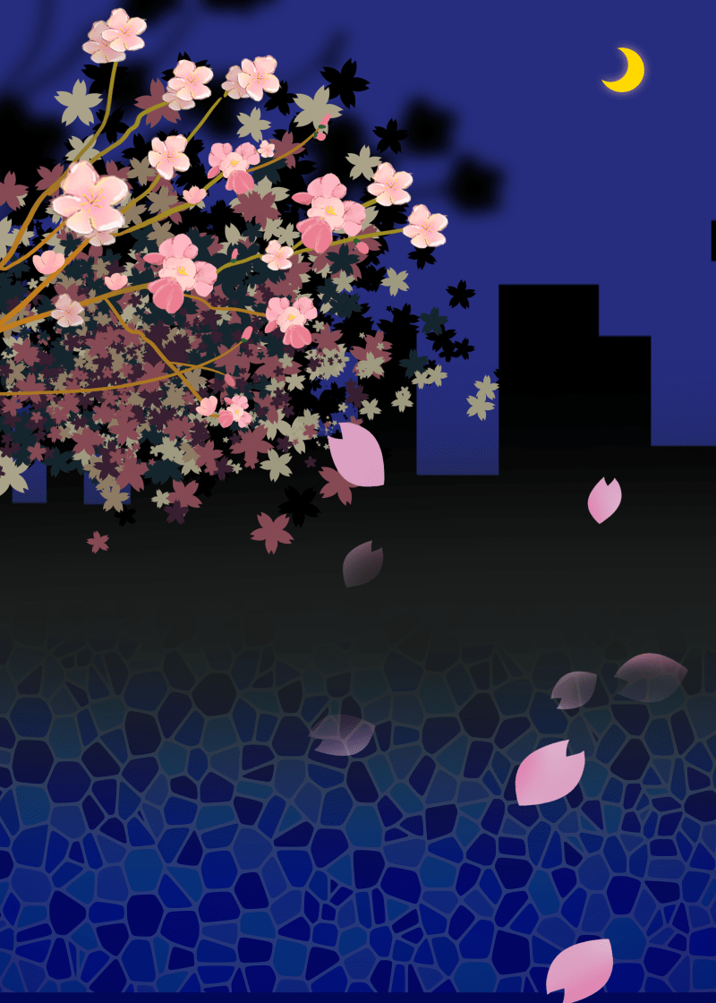 800x1120 Pink Cherry Blossom Background Dark Creative Simple. PSD Free Download