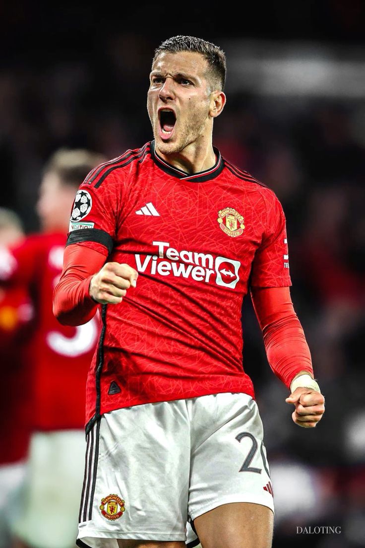 736x1104 Diogo Dalot Wallpaper