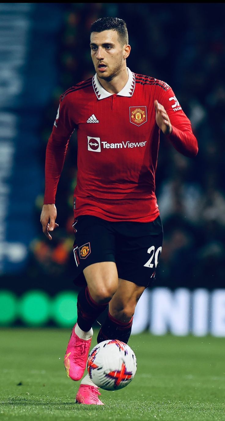 736x1373 Dalot