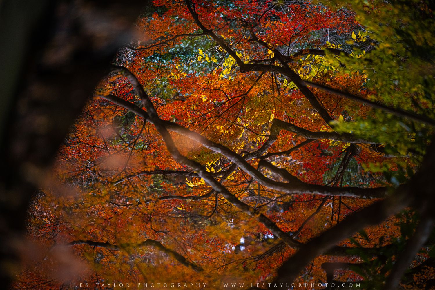 1500x1000 Autumn In The Yoro River Valley, Chiba Prefecture