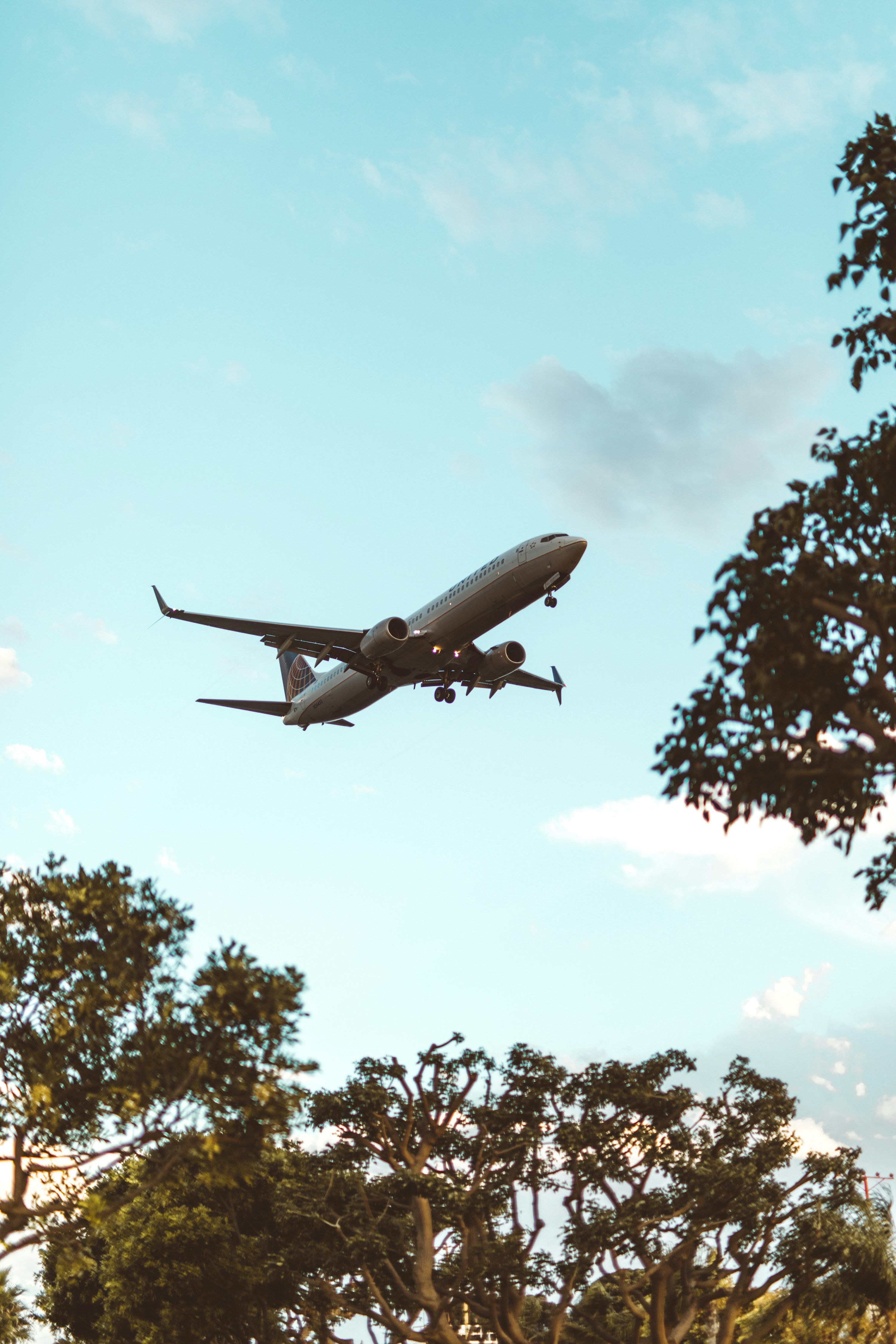 3000x4500 Grey commercial plane flying over trees