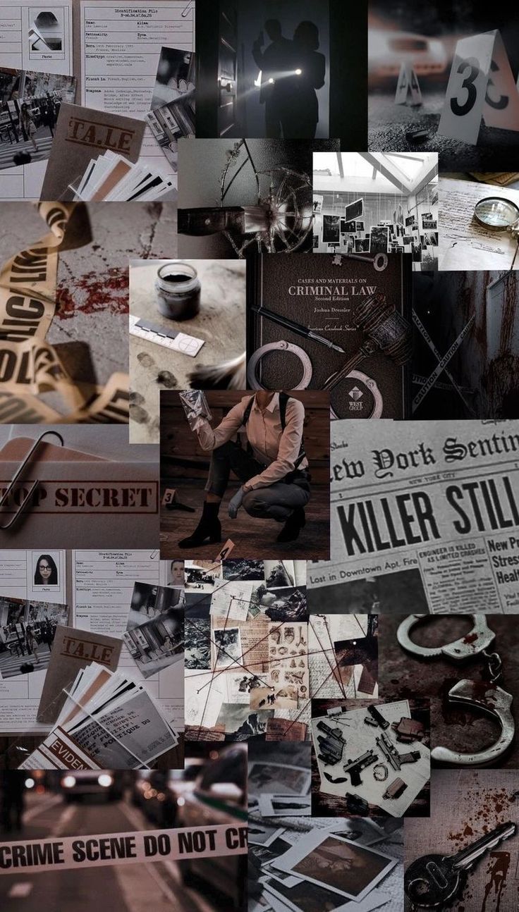 736x1294 Criminology ideas. criminology, my future job, future jobs