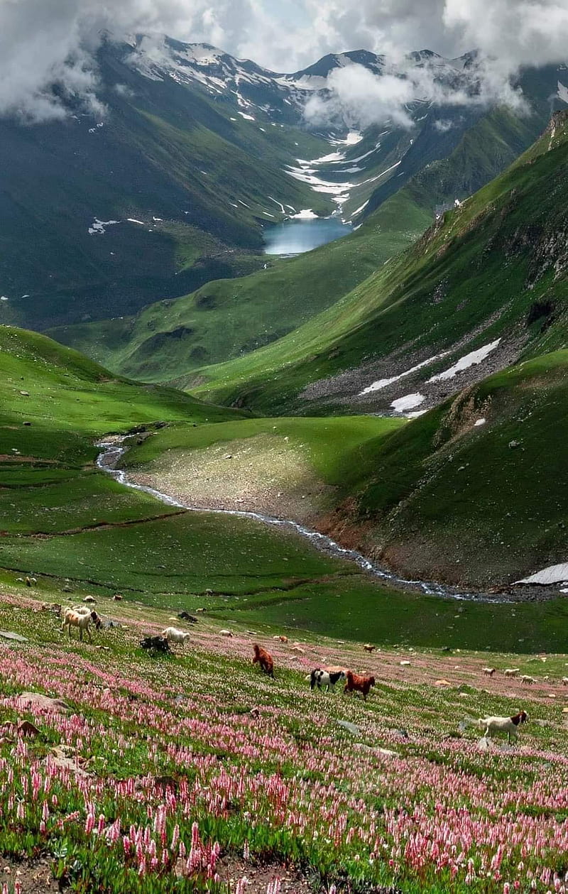 800x1259 Northern Pakistan, din, , mountain, pakbeauty, HD phone wallpaper