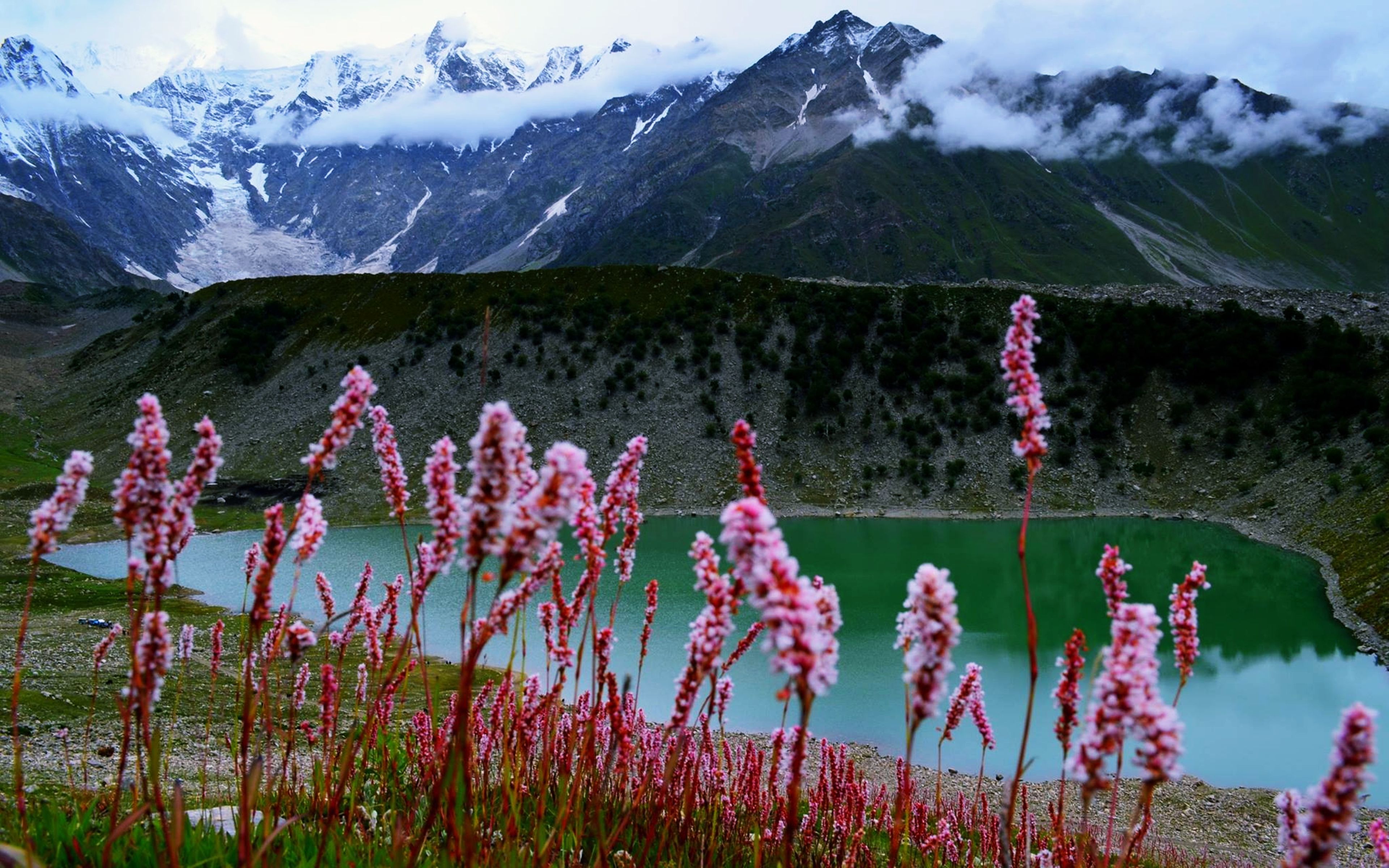 3840x2400 Vibrant Mountain Blooms: A 4K Ultra HD Wallpaper of Pakistan's Natural Beautyx2400