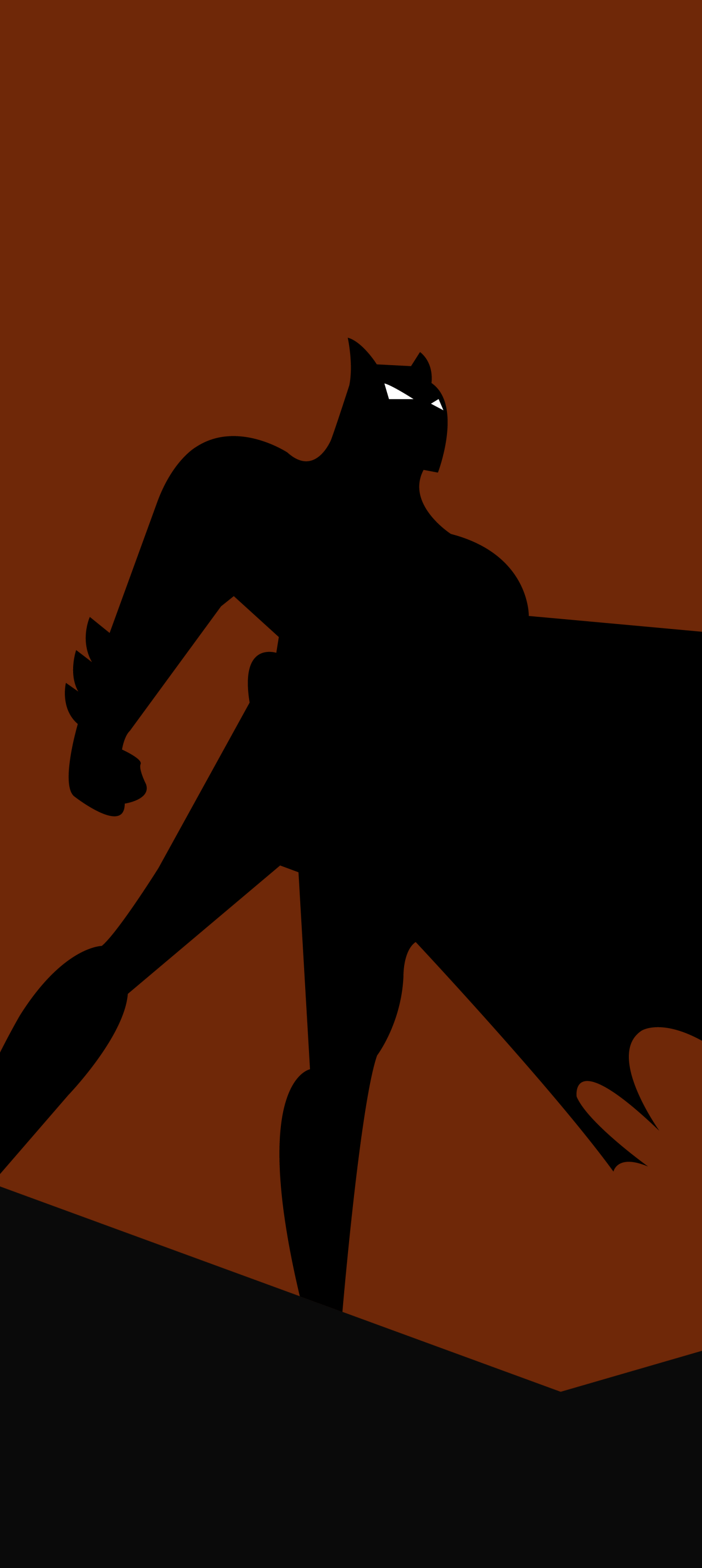 1440x3216 BTAS Night Watch