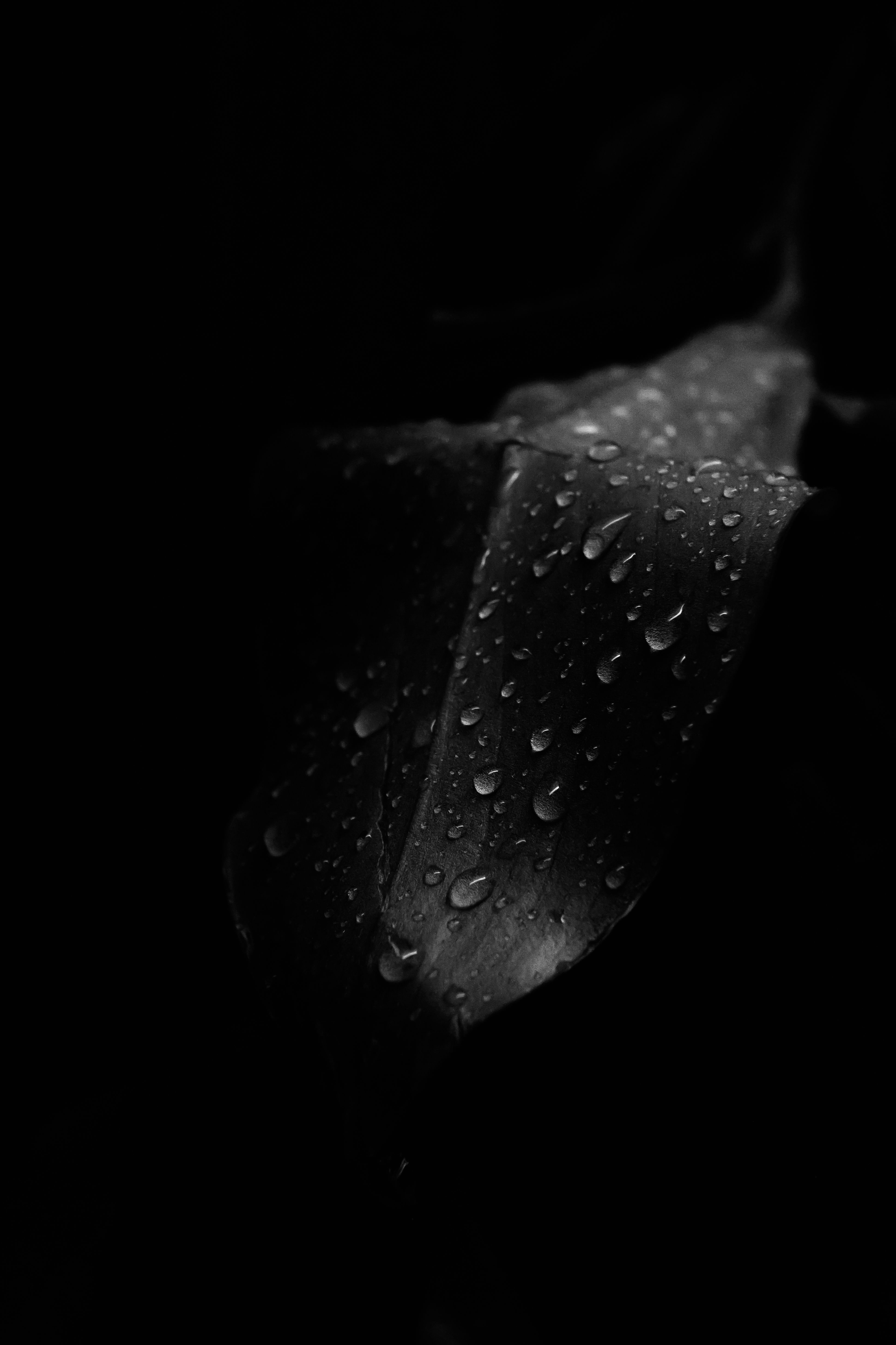 3880x5820 Black Aesthetic Photo, Download The BEST Free Black Aesthetic & HD Image