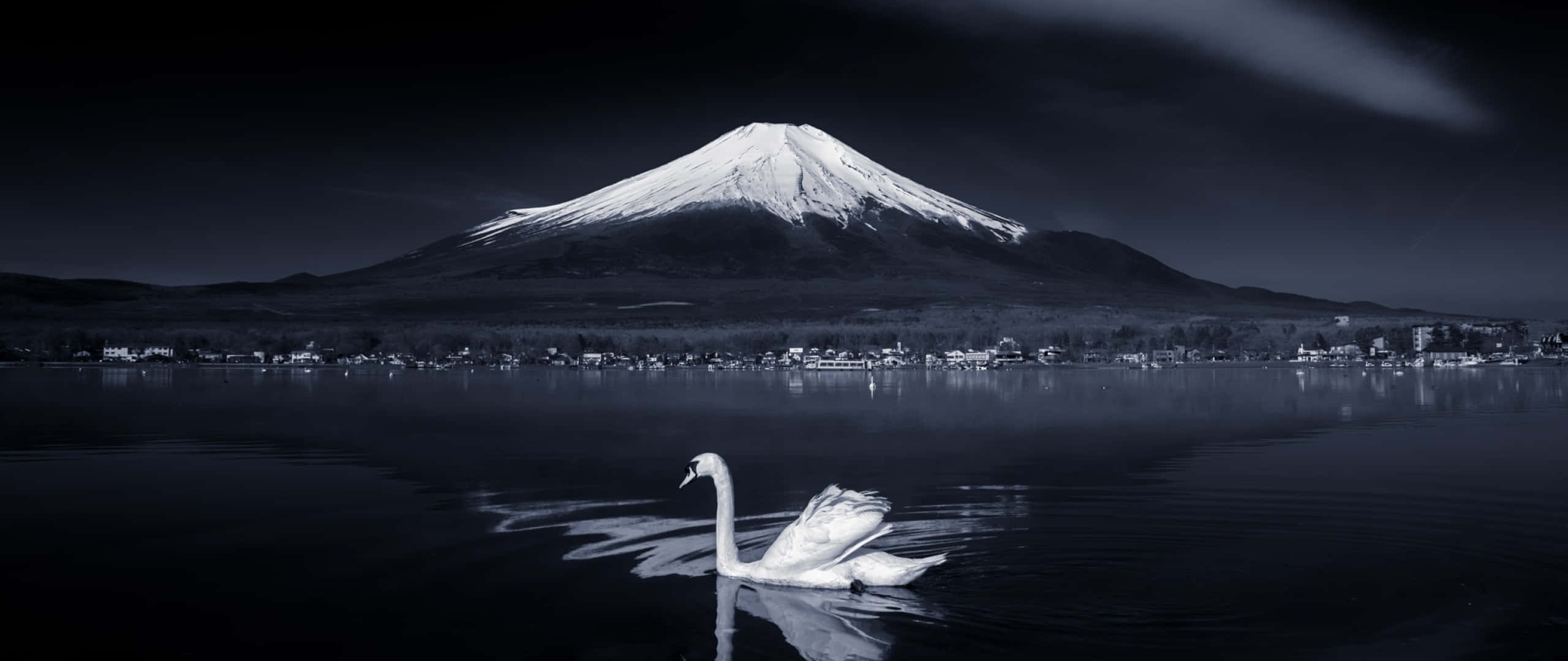 2560x1080 Download The Magnificent Black and White Architecture of Japan Wallpaper