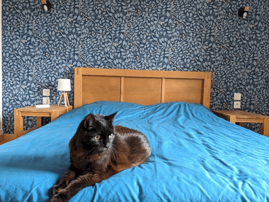 1080x810 Wallpaper behind the headboard? Consider the Pros and Cons. Knowledge
