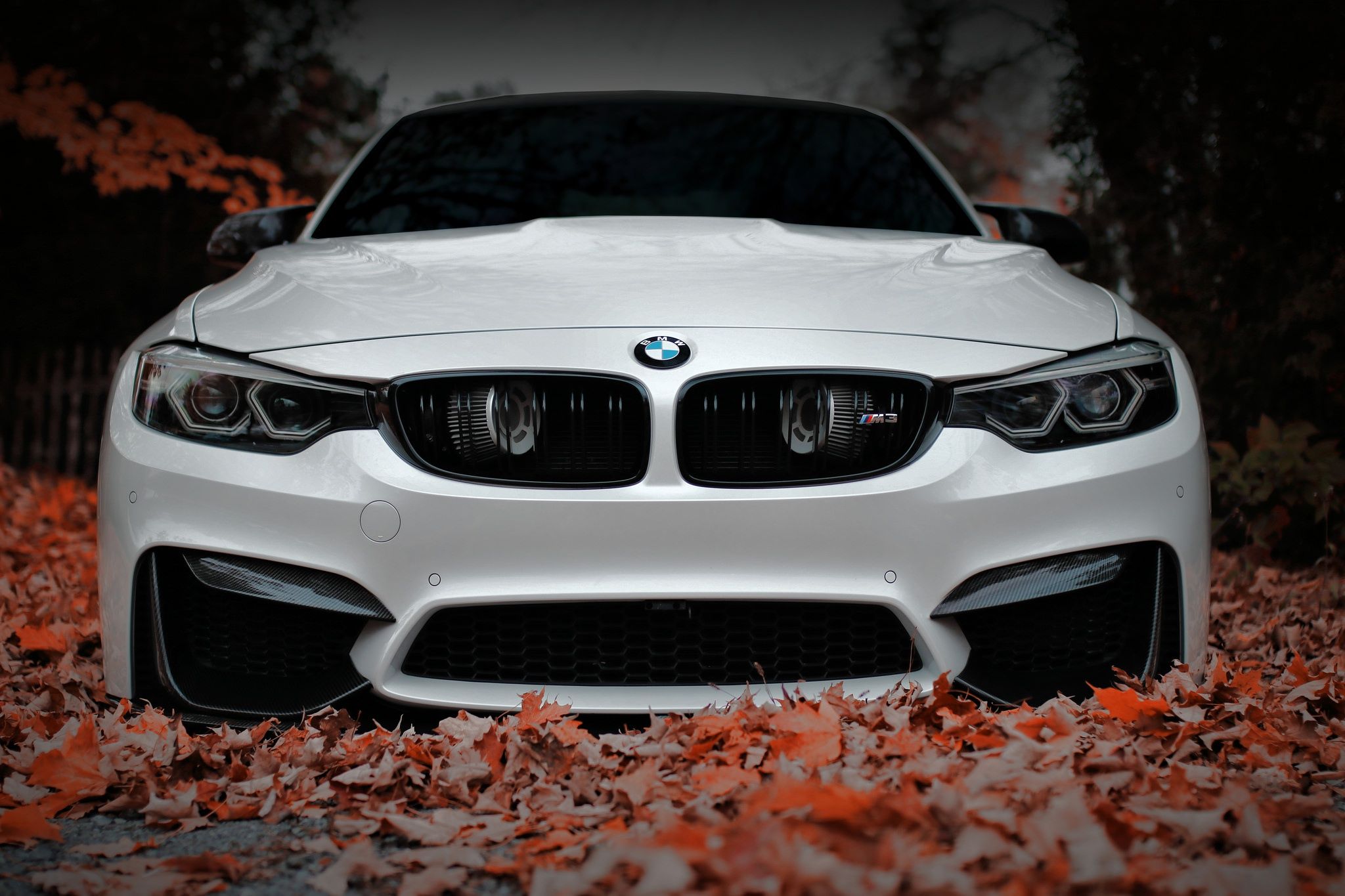 2048x1365 Wallpaper face, Aggressive, Front, F BMW, Sight, white, autumn for mobile and desktop, section bmw, resolution 2048x1365