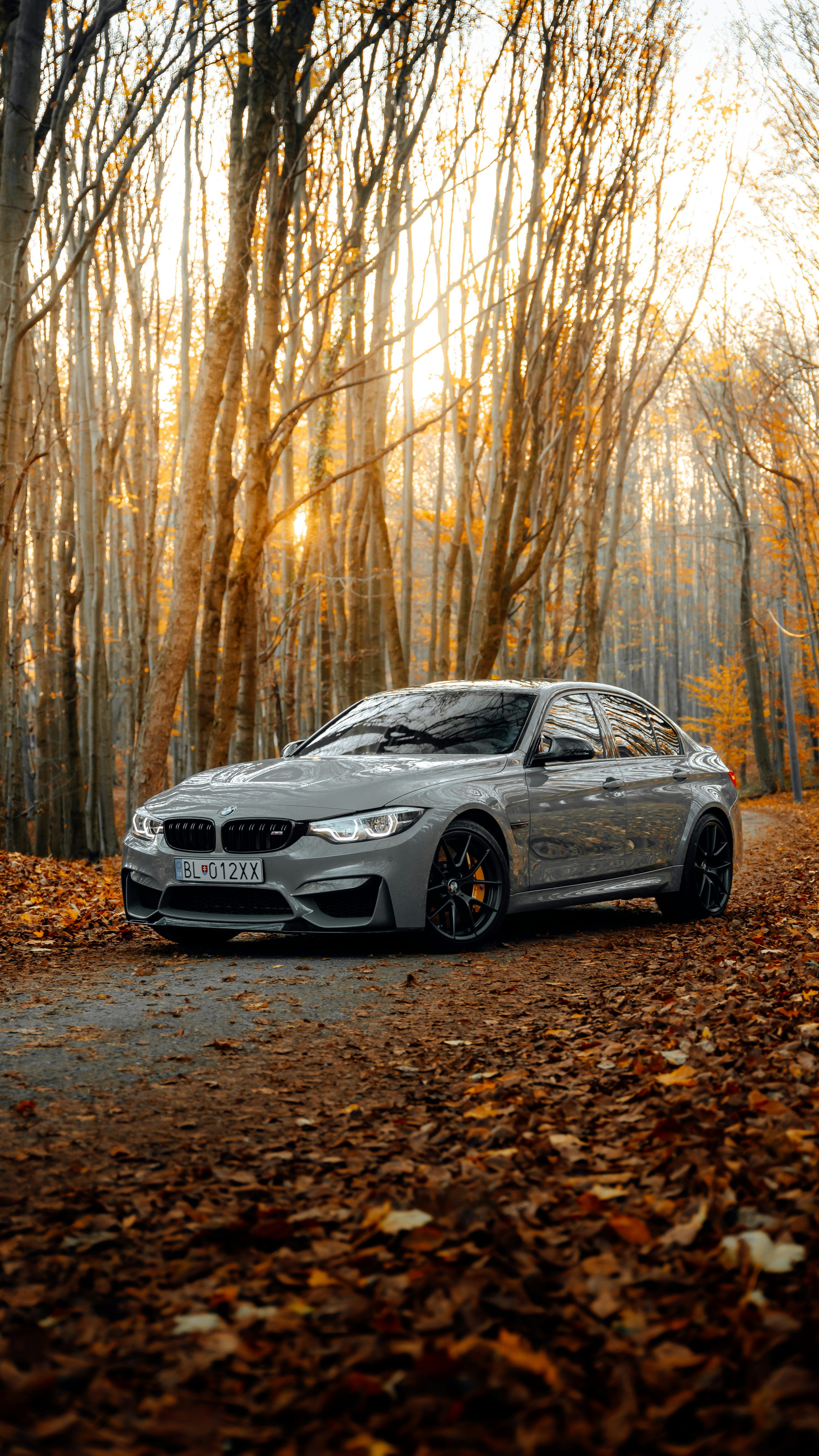 3000x5333 BMW Wallpaper: Free HD Download [4K]