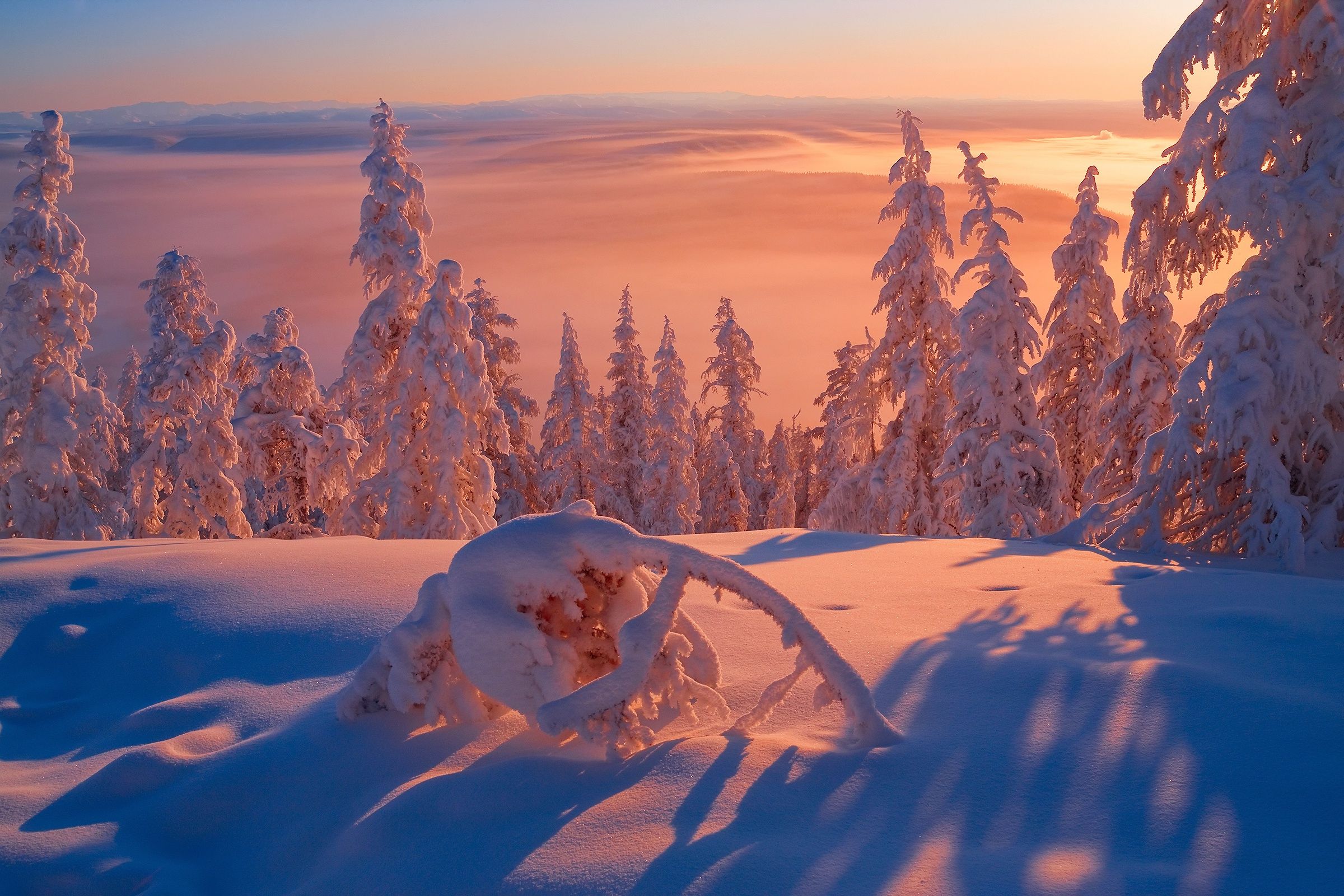 2400x1600 Wallpaper minus Yakutia, The Republic Of Sakha, frost, Siberia, winter, light, snow for mobile and desktop, section пейзажи, resolution 2400x1600