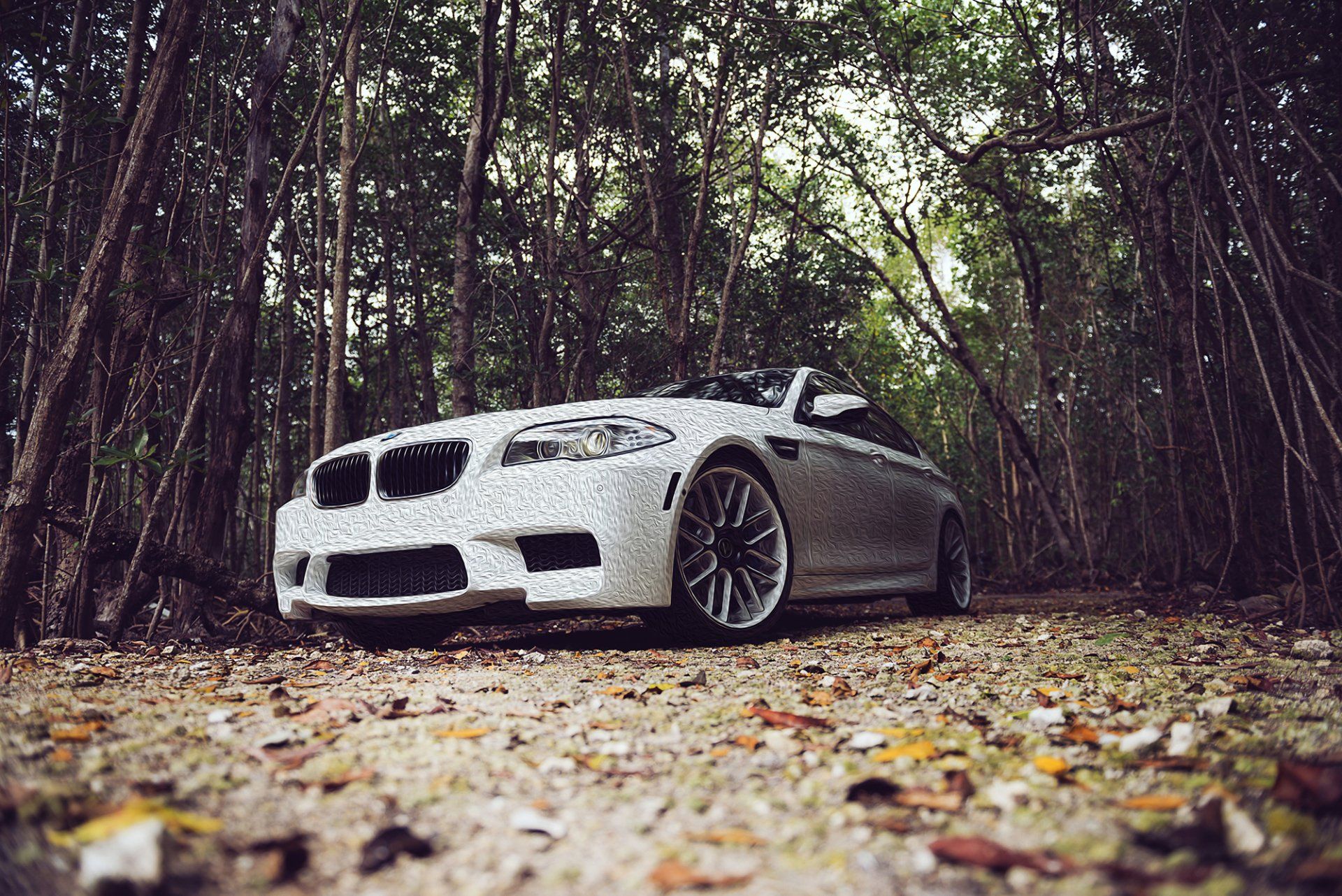 1920x1282 Stunning White BMW M5 in Forest