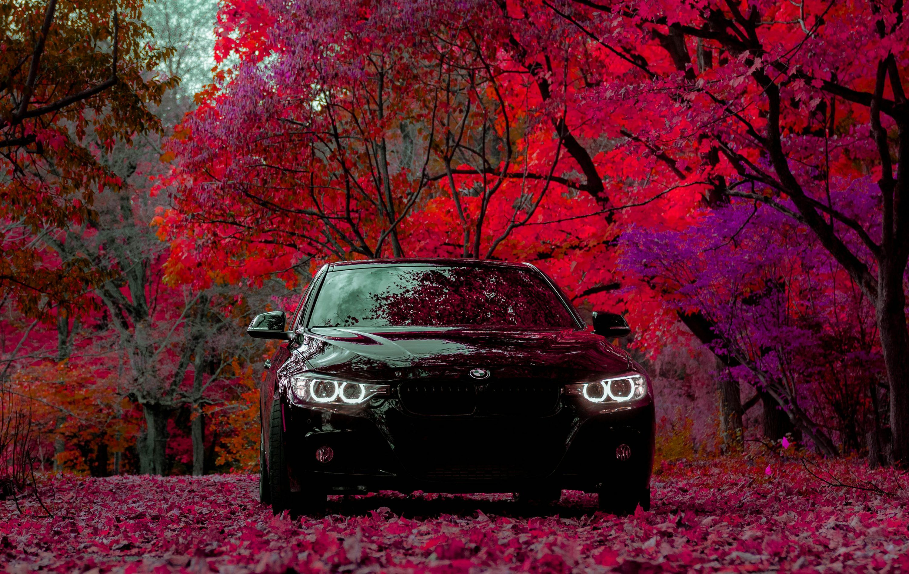 3000x1894 Black Bmw Picture. Download Free Image