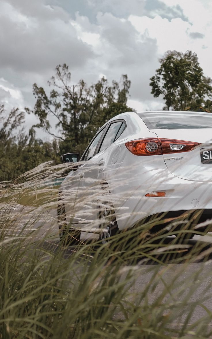 736x1177 Wallpaper mazda grass rear view mazda 3 trees white car