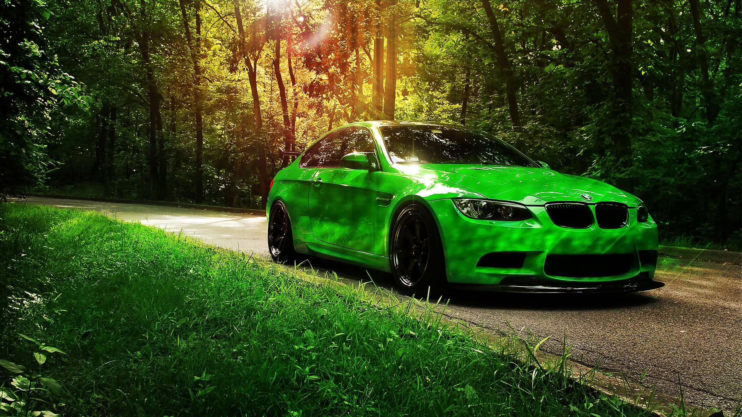 2560x1440 BMW Landscape Wallpaper