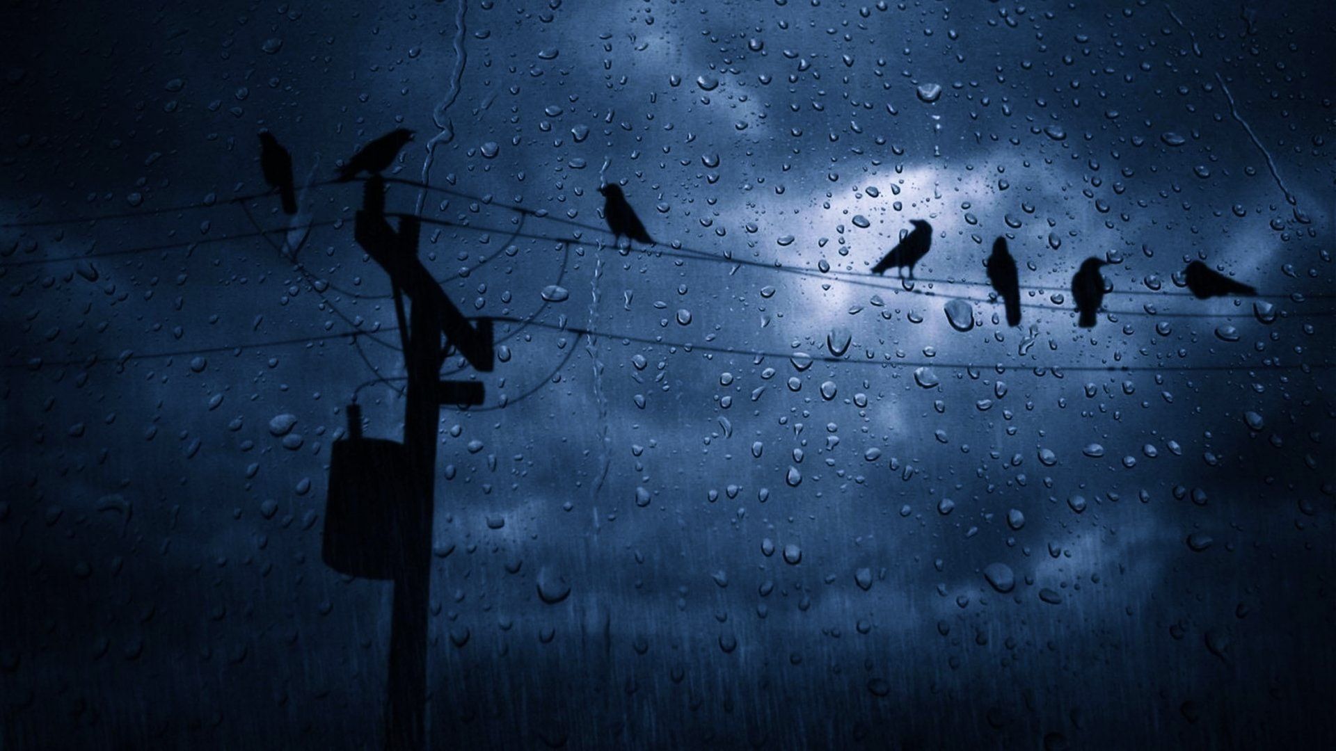 1920x1080 Dark Rainy Sky with Birds Ultra HD Wallpaperx2160