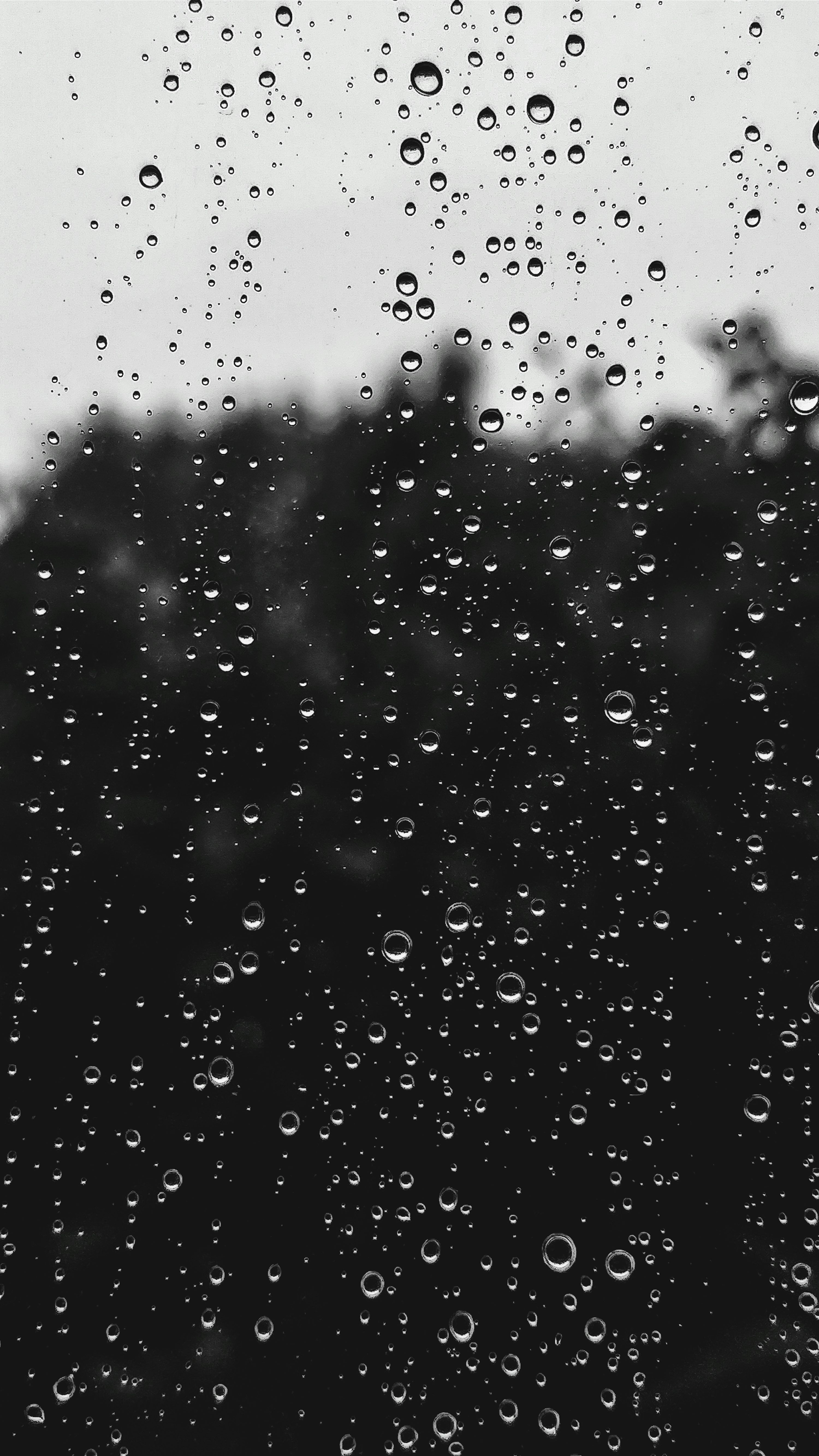 3000x5333 Rain Background best free photo