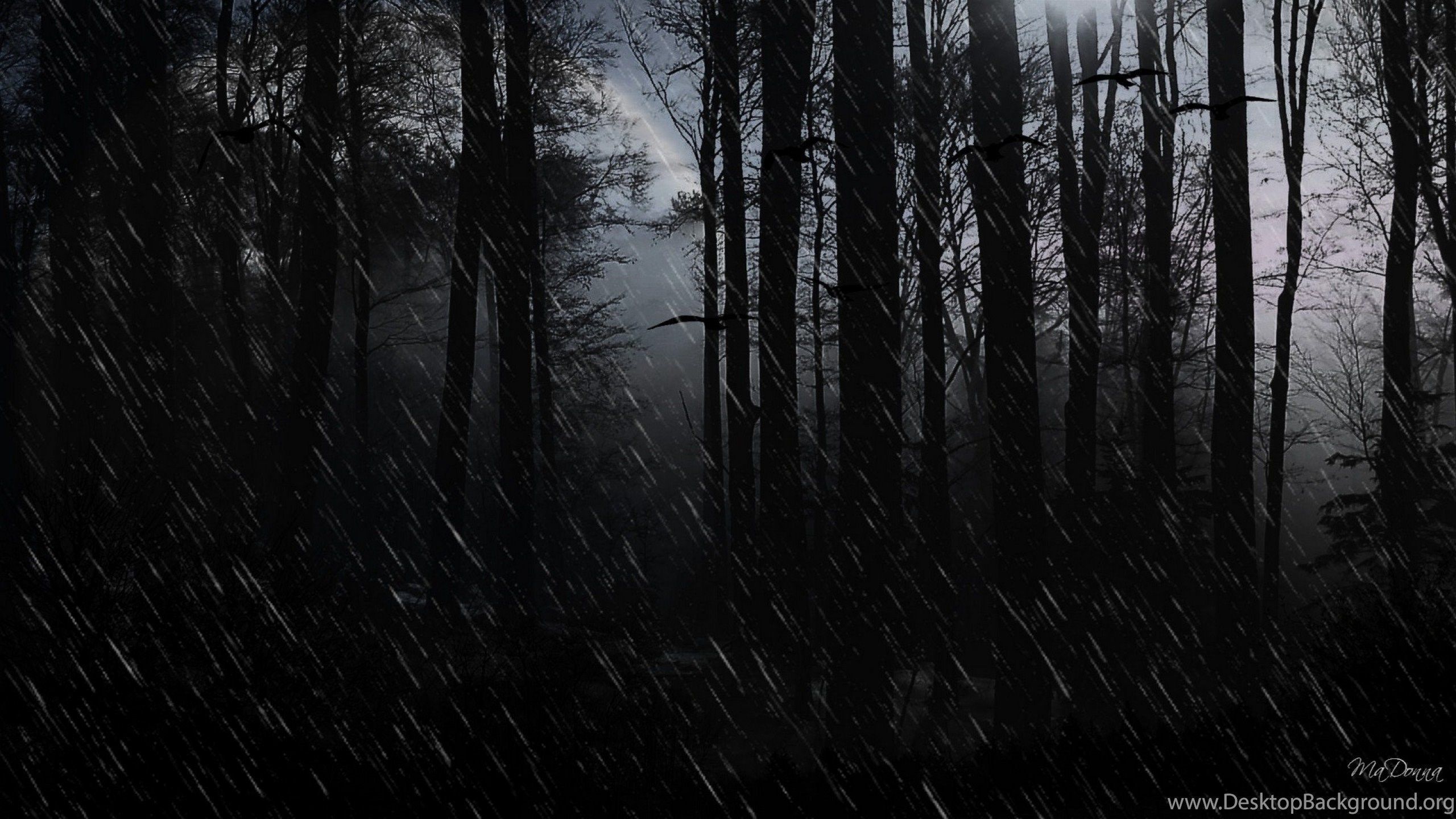 2560x1440 4k Dark Rain Wallpaper