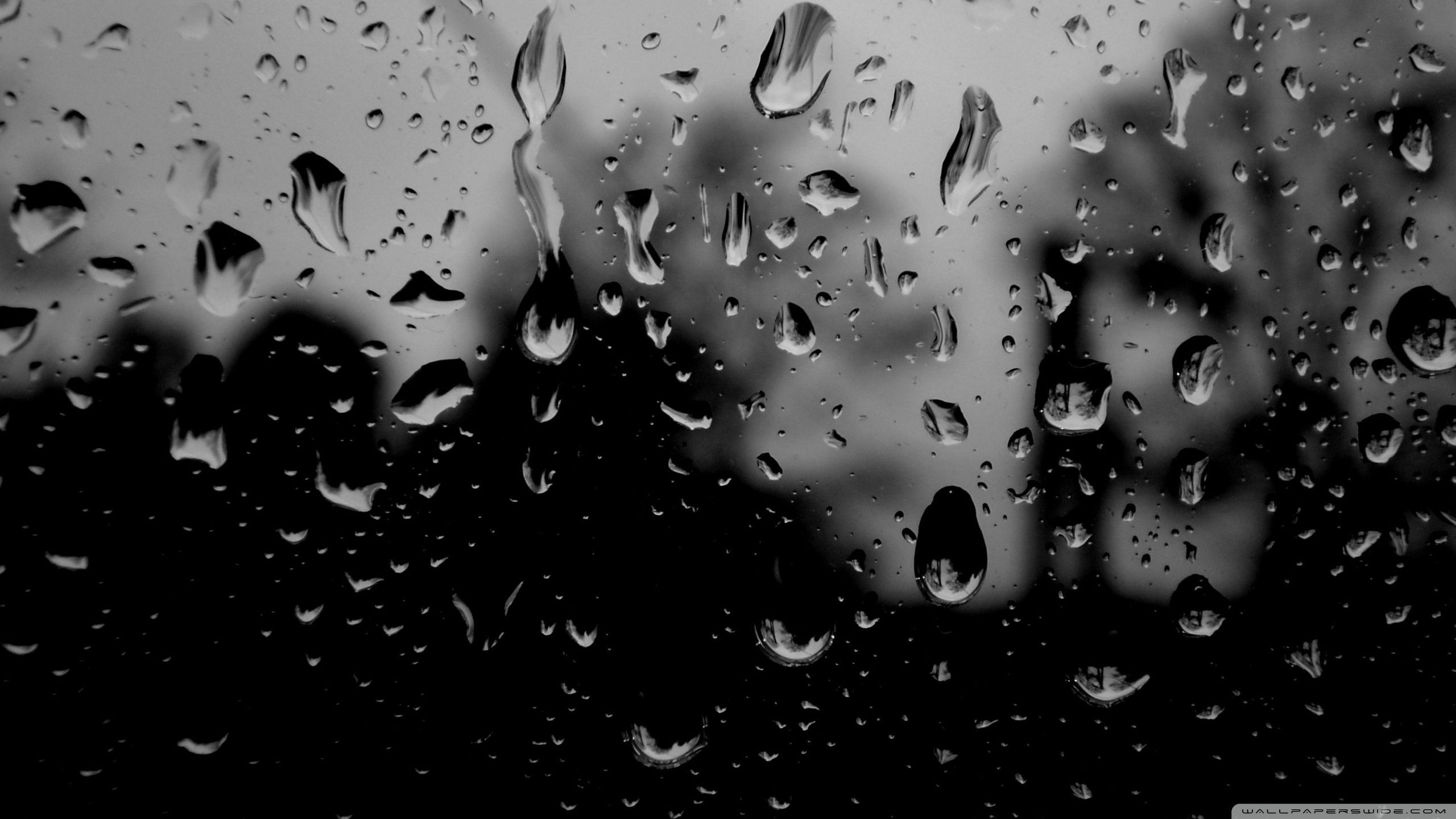 2560x1440 Dark Rainy Day 4K UHD Wallpaper for UltraHD Desktop and TV : Dual Monitor : Smartphone and Tablet Devices