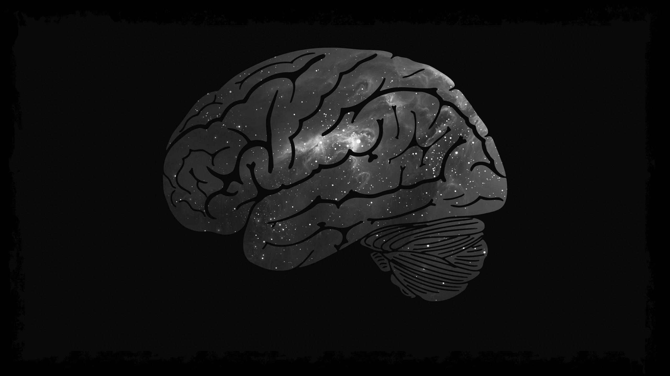 2560x1440 Galactic Brain B&amp;W [2560x1440]. Background desktop, Wallpaper, HD wallpaper