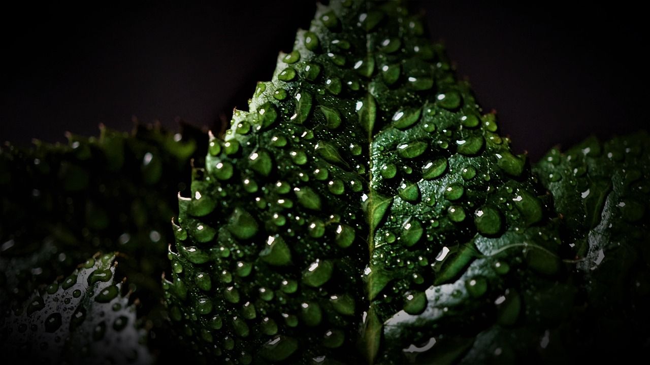 1280x720 Rainy Weather Dark Rain