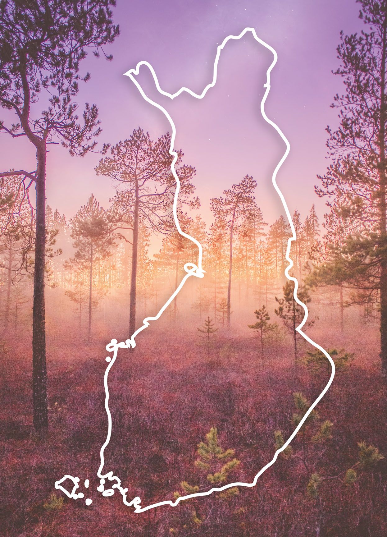 1246x1728 Map of Finland: Swamp