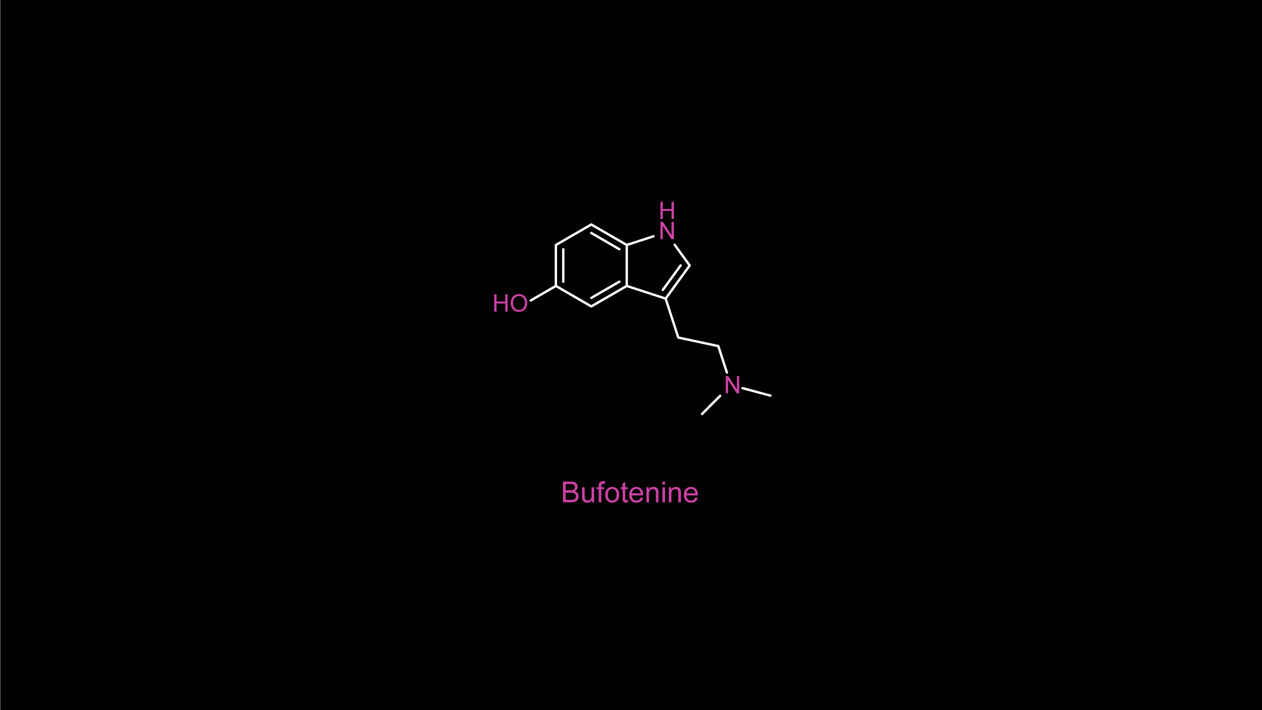 2560x1440 Bufotenine [2560x1440]. Desktop wallpaper, Book wallpaper, Active wallpaper