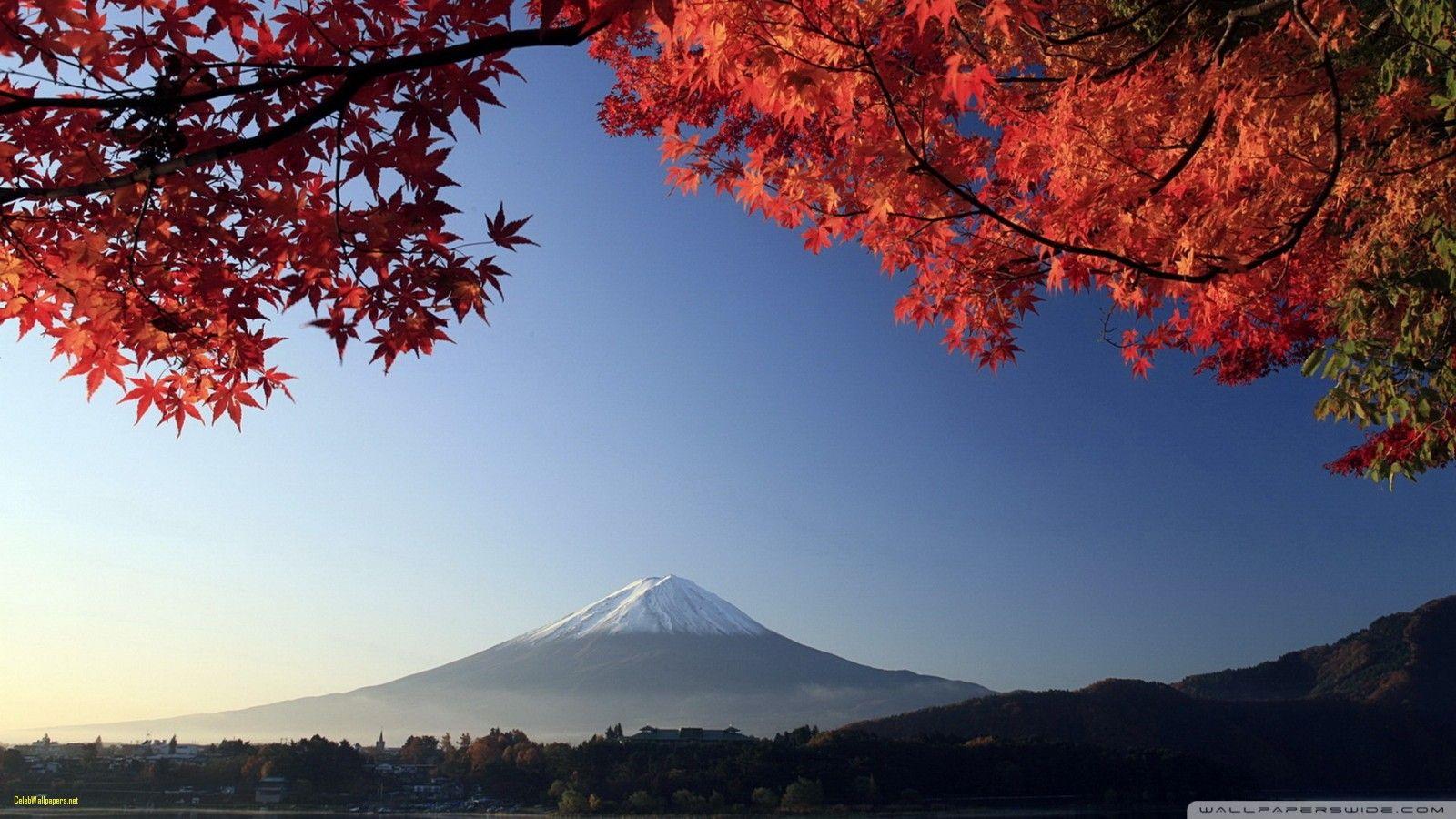 1600x900 Autumn Mount Fuji Japan 4k HD Desktop Wallpaper for 4k Ultra Awesome