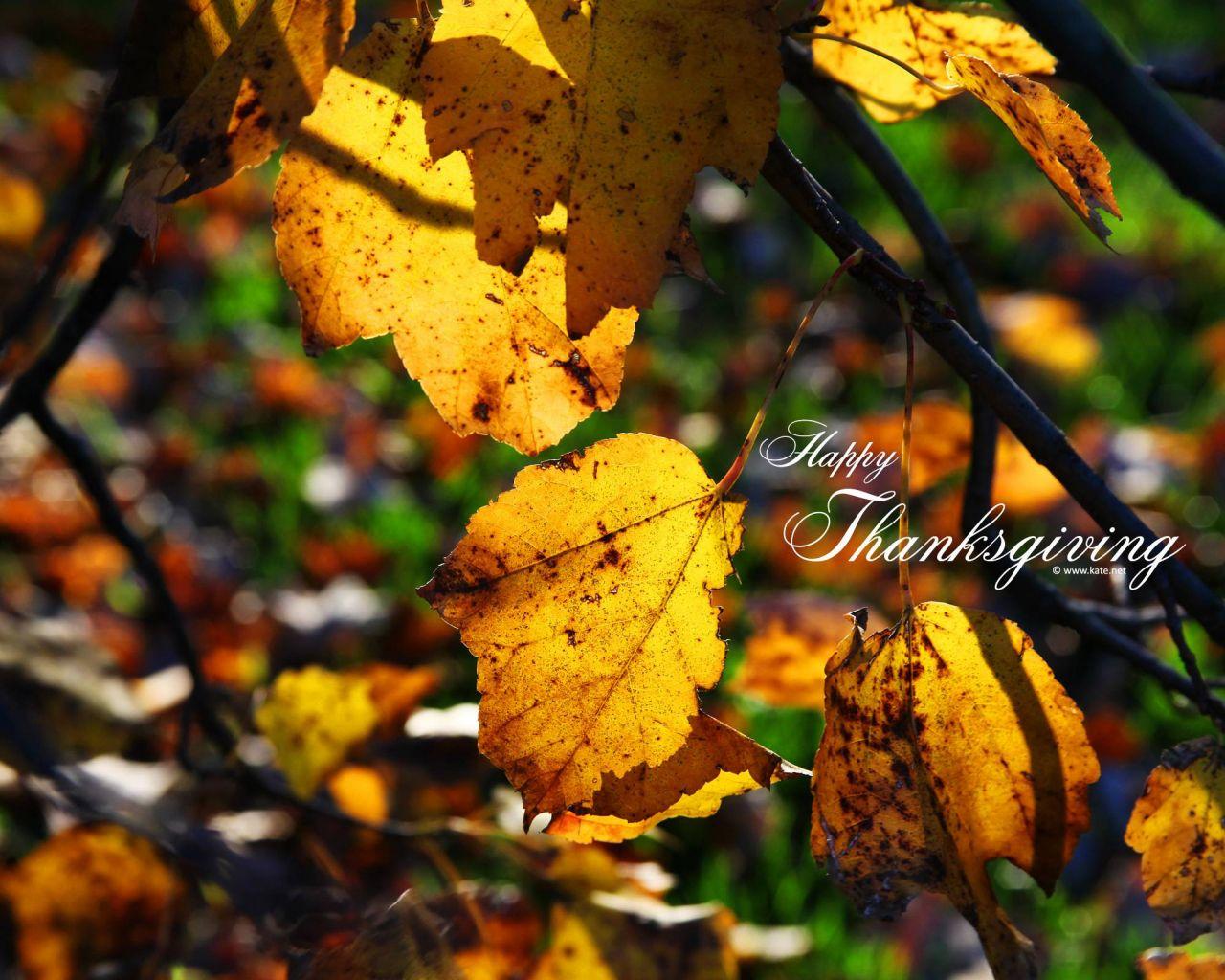 1280x1024 Free download Fall Thanksgiving Wallpaper [2560x1600] for your Desktop, Mobile & Tablet. Explore Fall Thanksgiving Wallpaper. Free Thanksgiving Wallpaper, Happy Thanksgiving Wallpaper, Thanksgiving Wallpaper Background