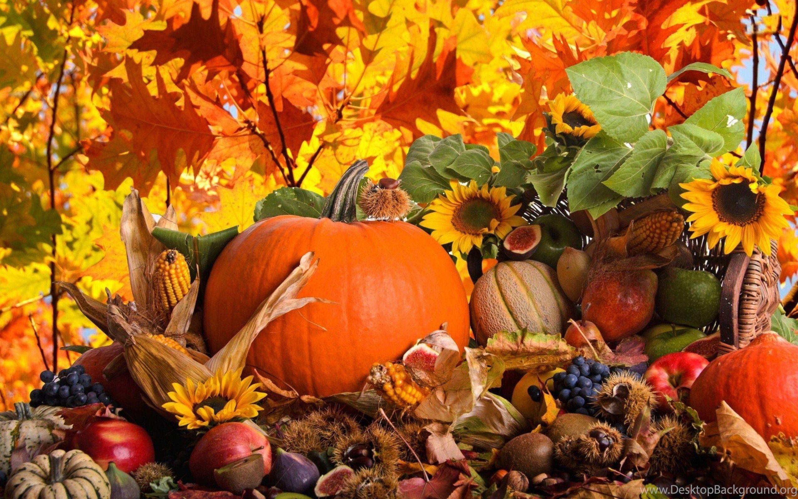 Autumn Thanksgiving Wallpapers - Top Free Autumn Thanksgiving